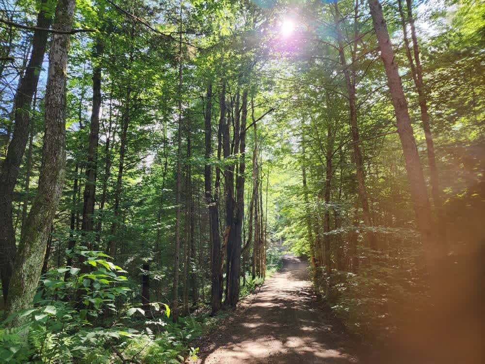 Stony Lake Road