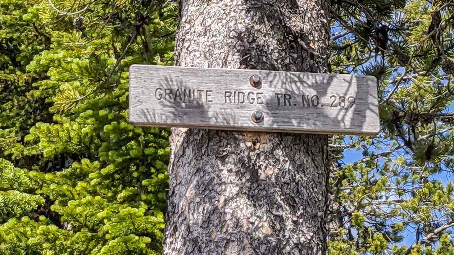 Granite Ridge Trail 239