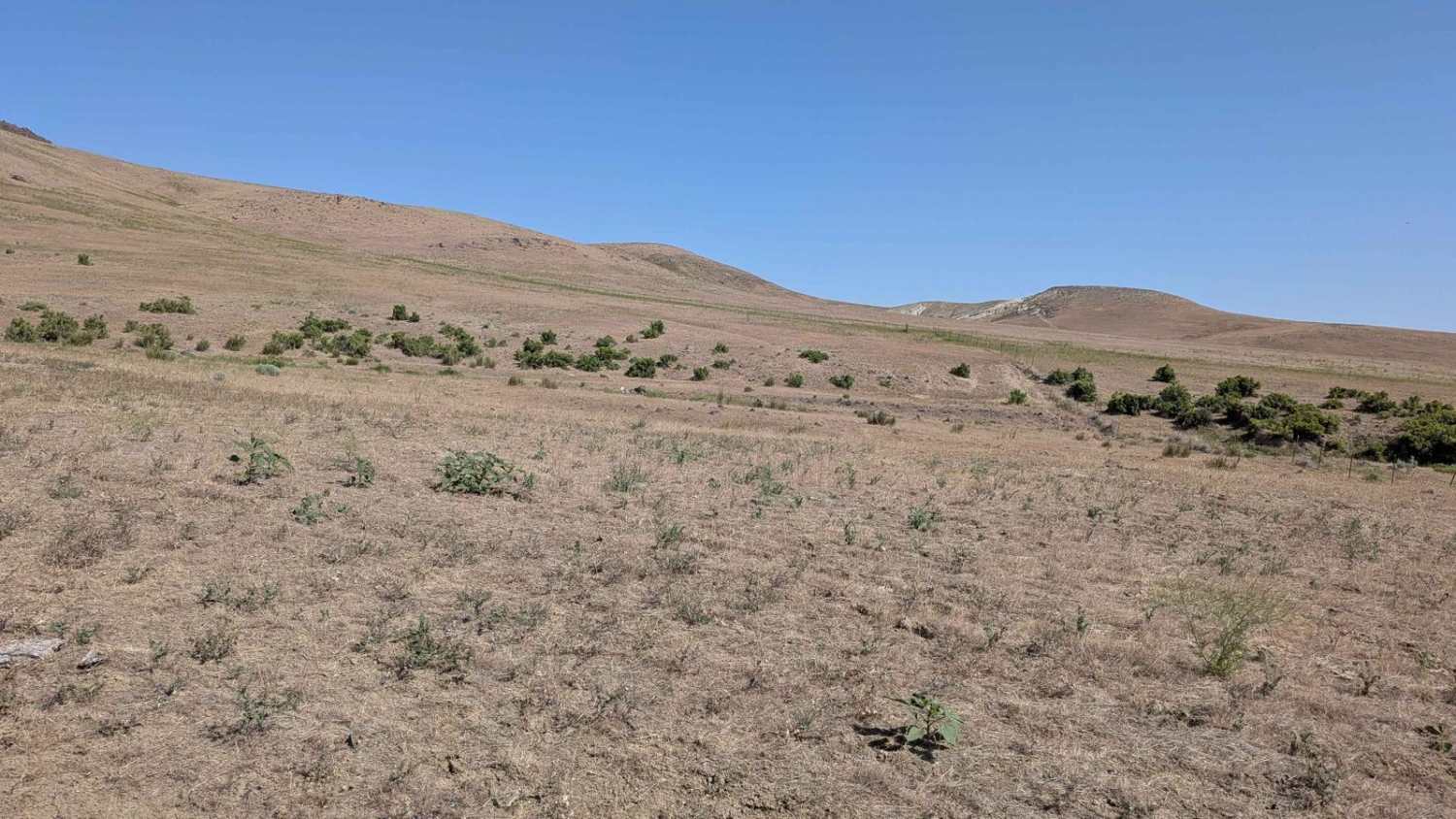 Camp Kettle Creek Road Trail