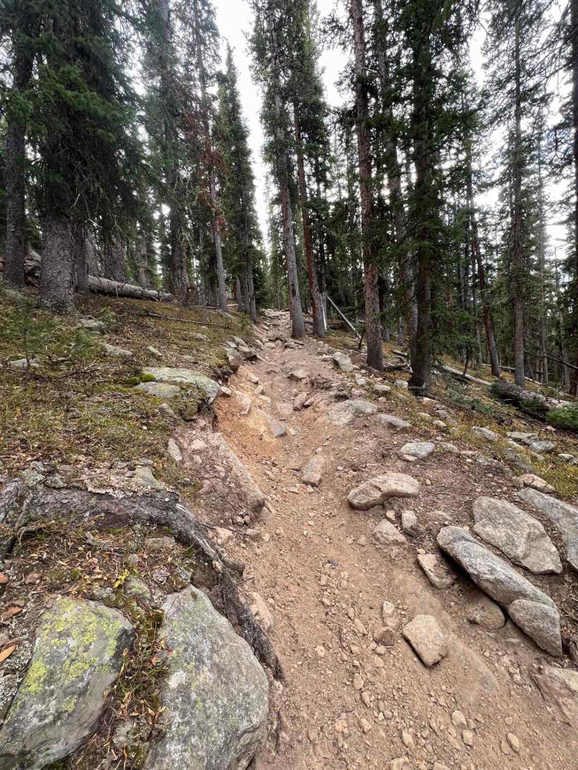 Timberline Trail #414