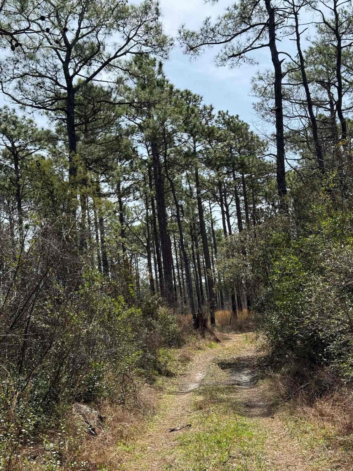 Pettiford Creek Trail 13
