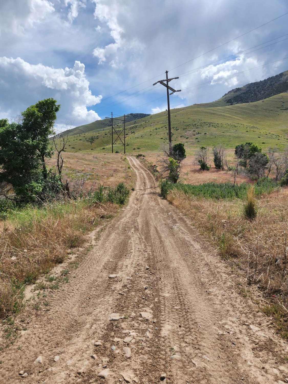Powerline Road