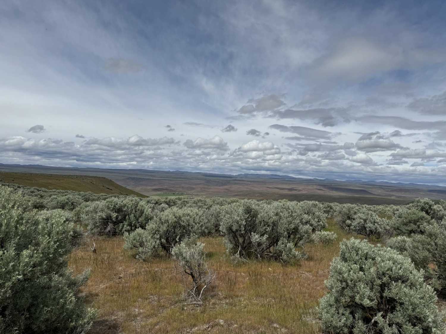 Pumpjack Plateau