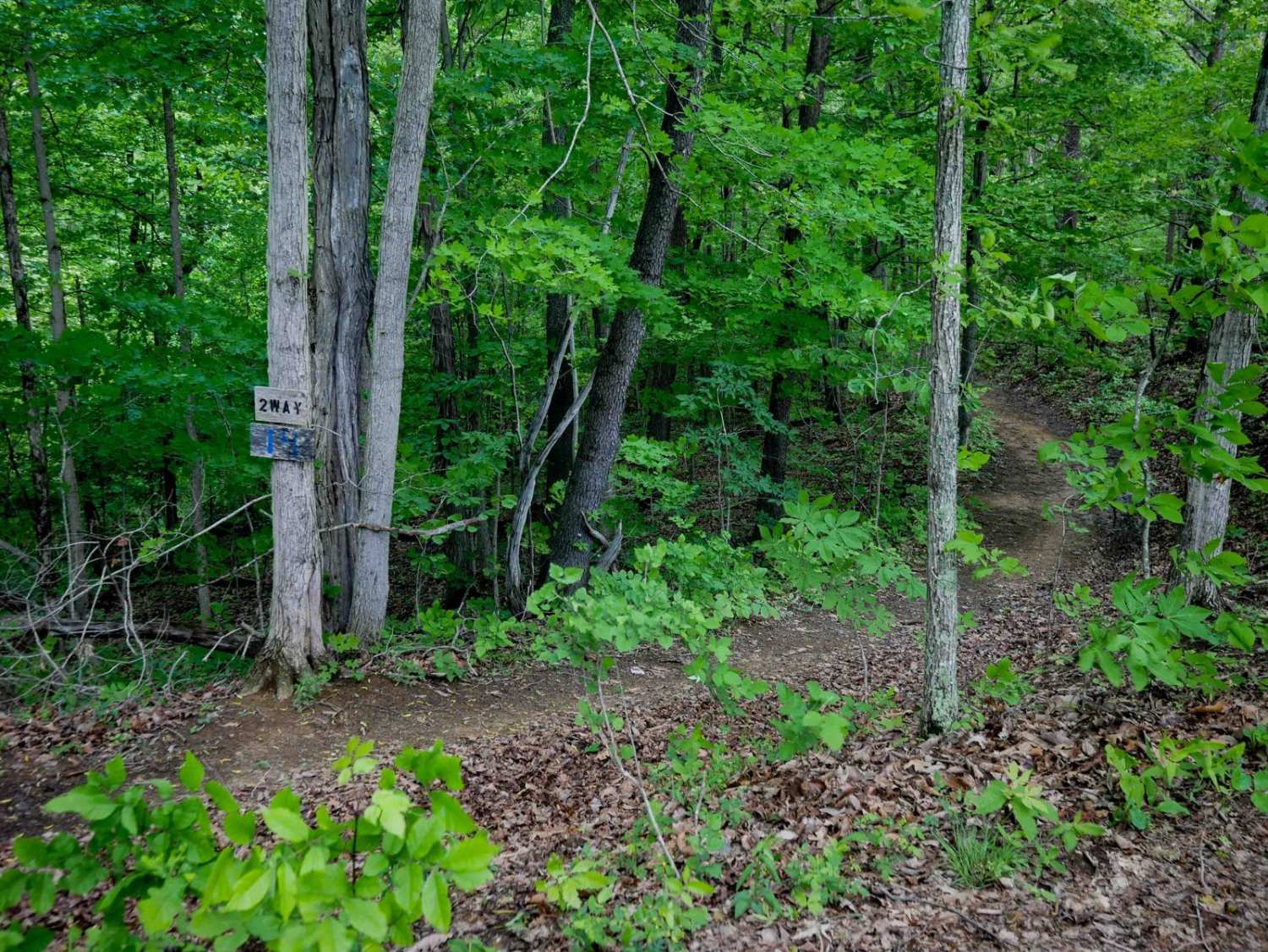 Trail 14