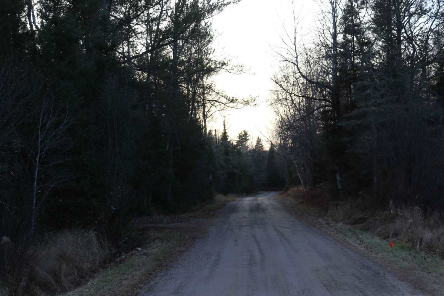 Swan Rd
