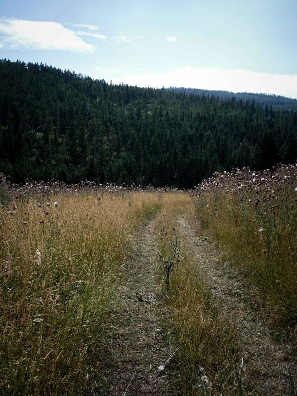 Willow Creek North Spur ATV 