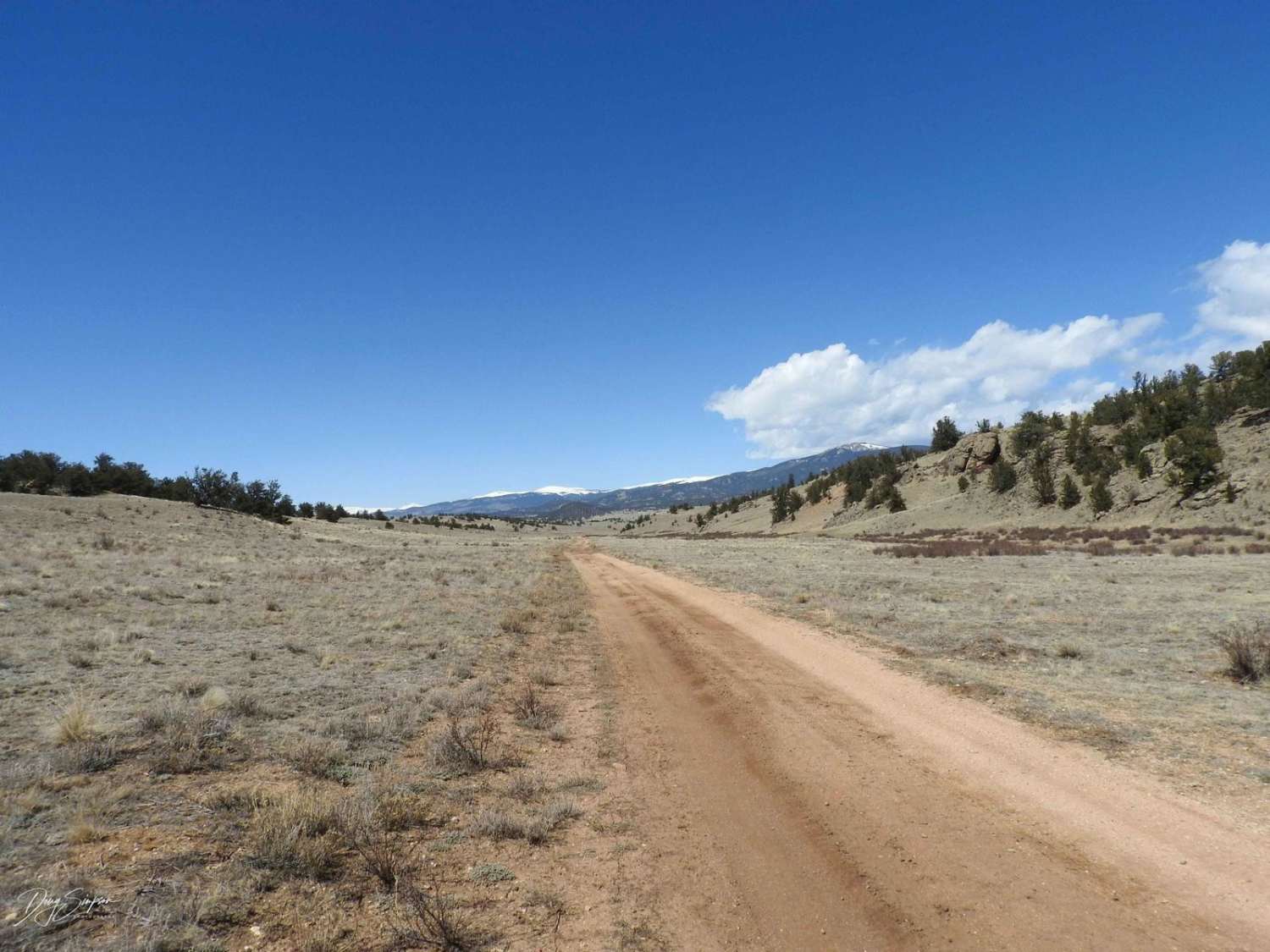 Paige Road