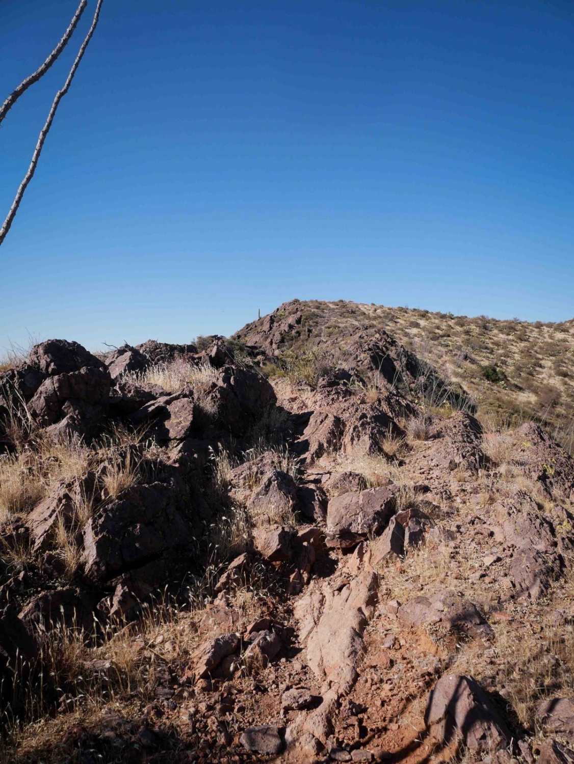 Picacho Peaks Singletrack 