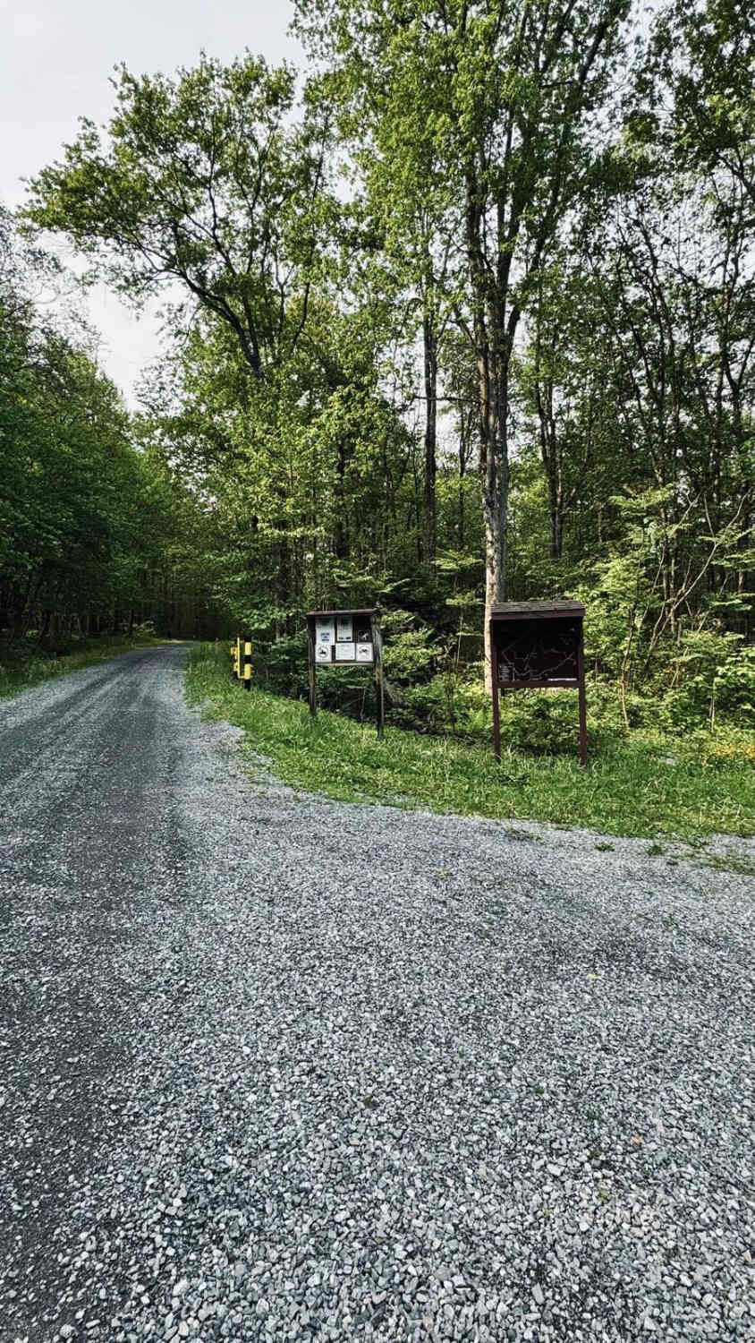 Clear Shade Road