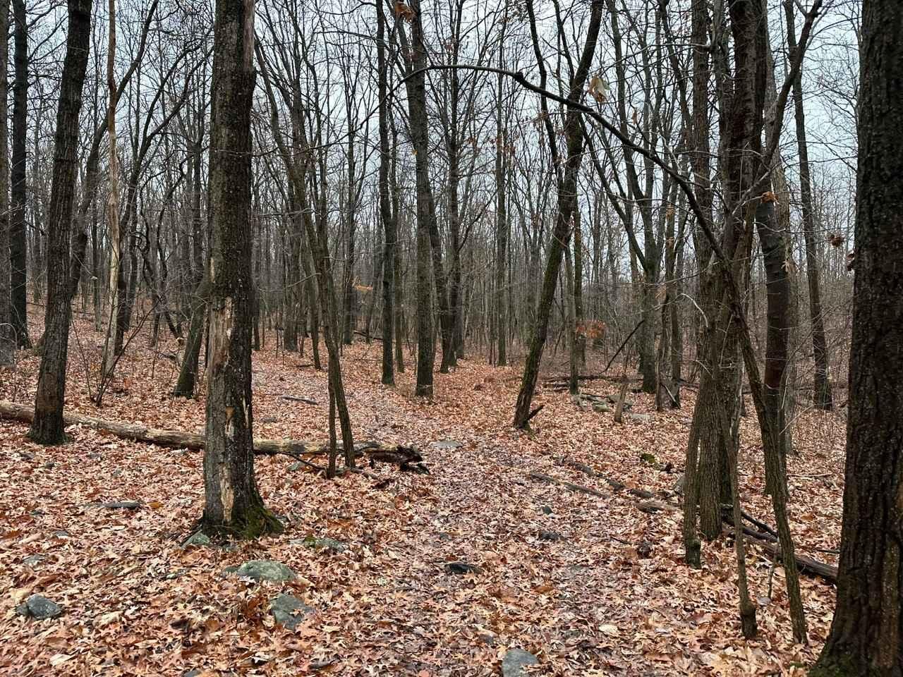 ATV Trail 29