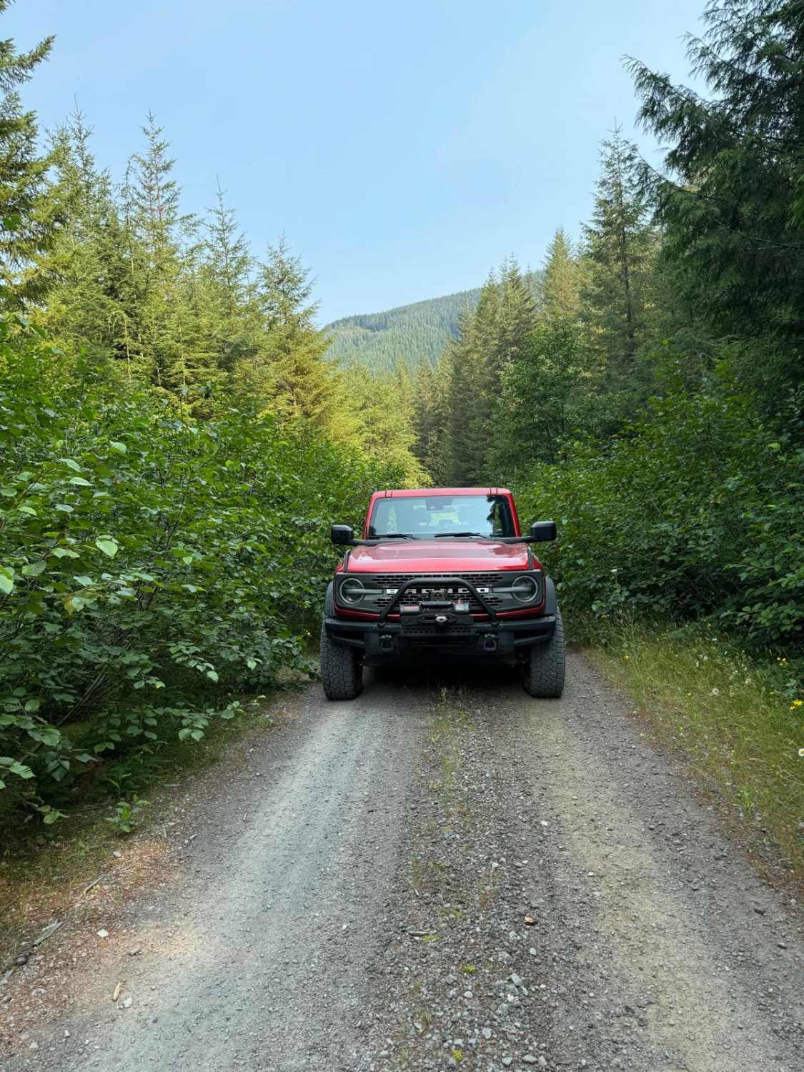 Forest Rd 5400000