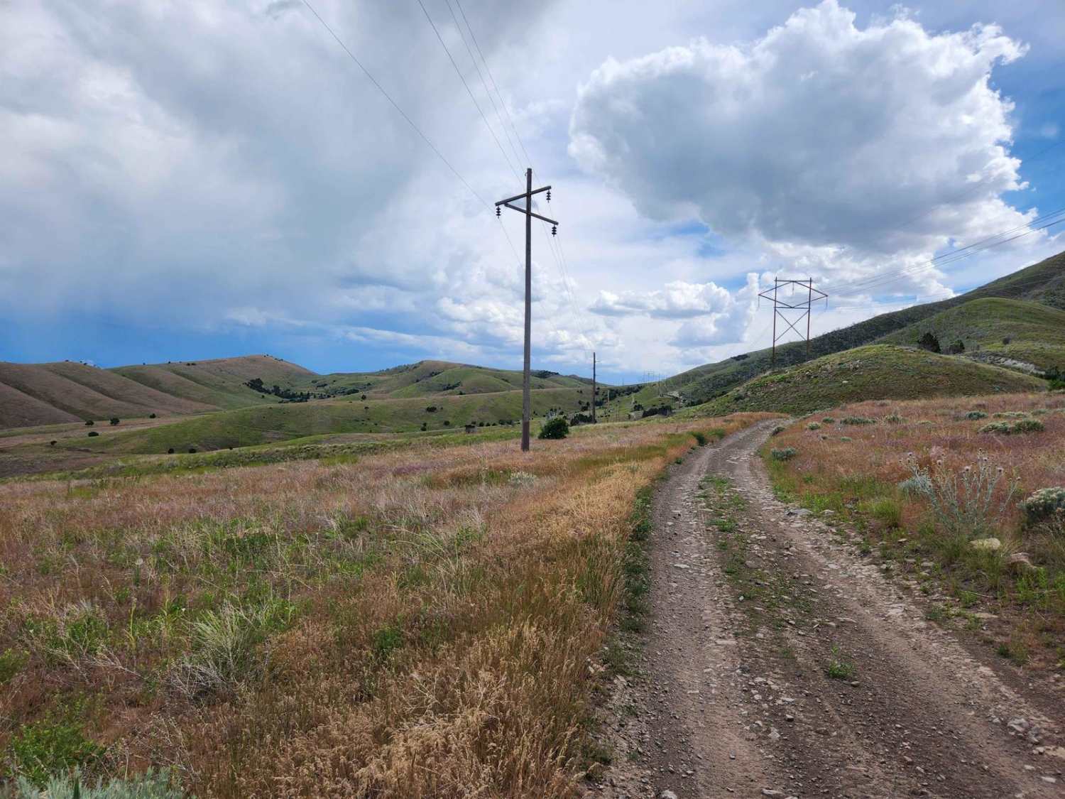 Powerline Road
