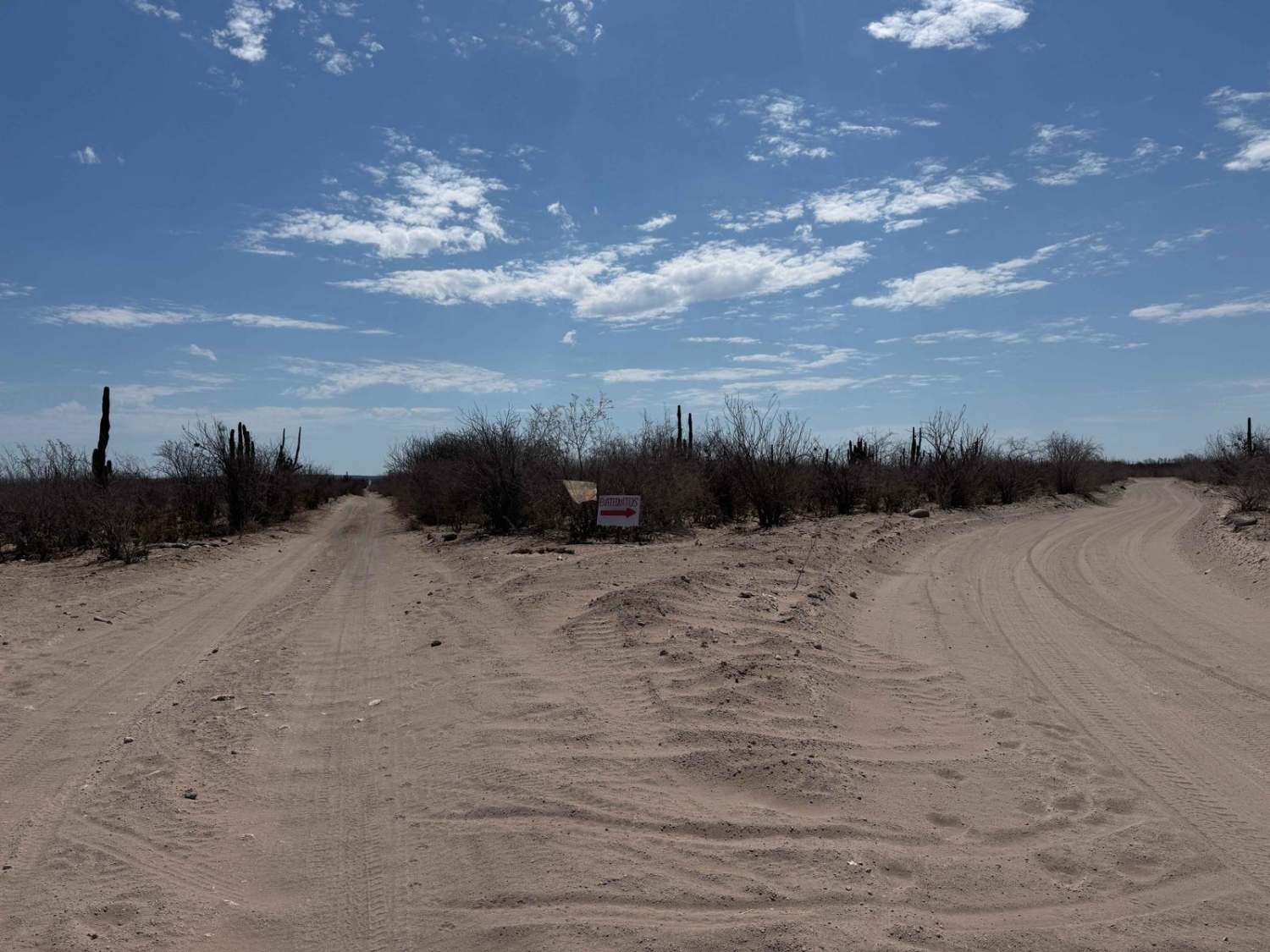 East-North Connection