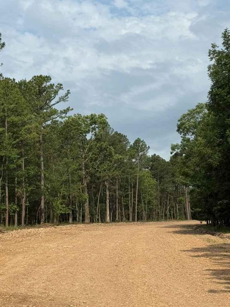 Main Access Road