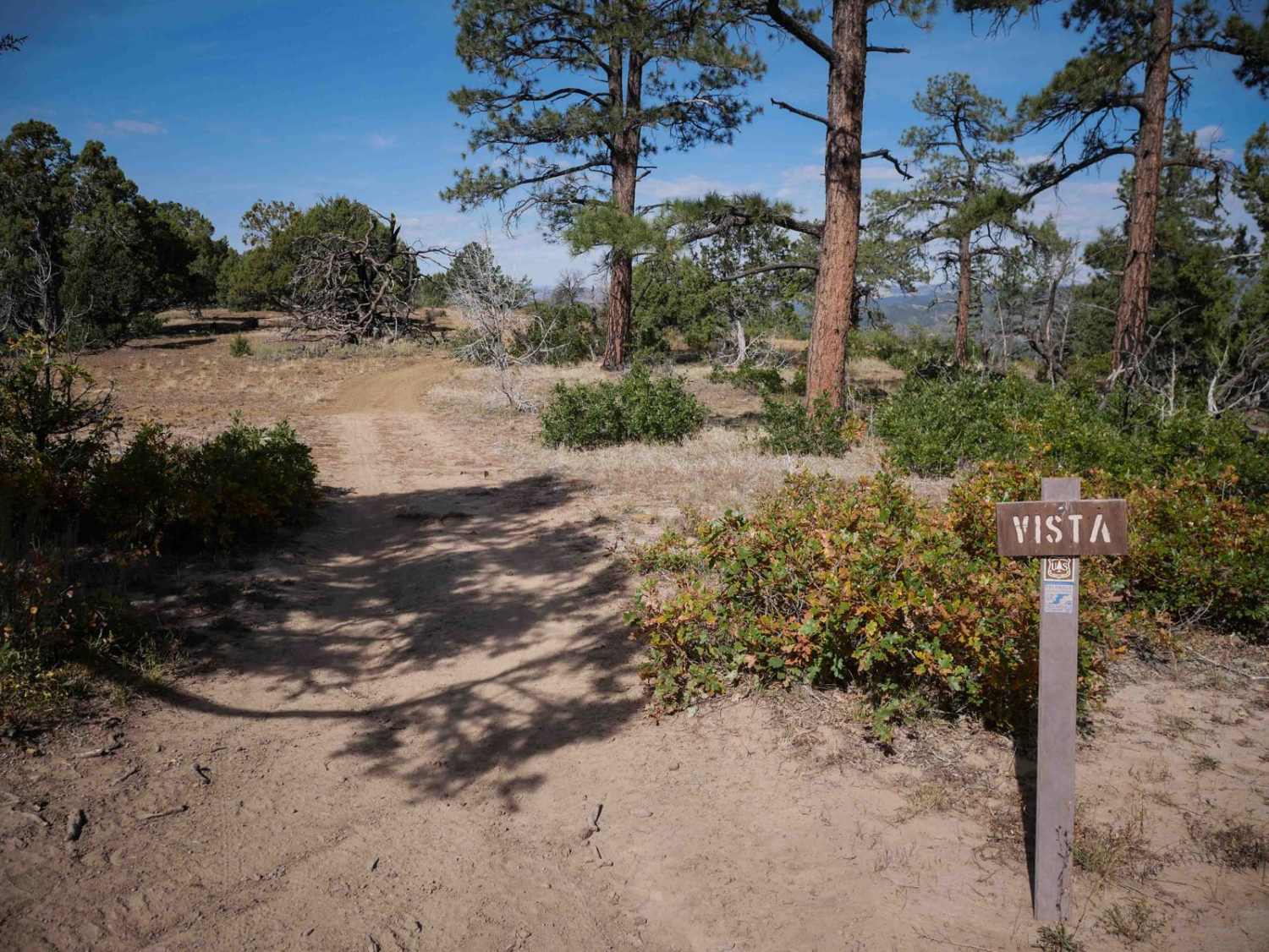 Lange Canyon 