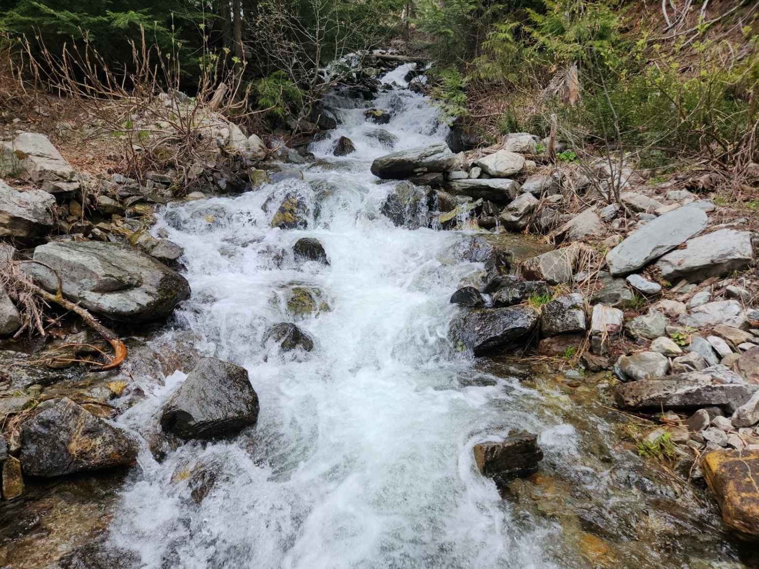 South Fork Bull River