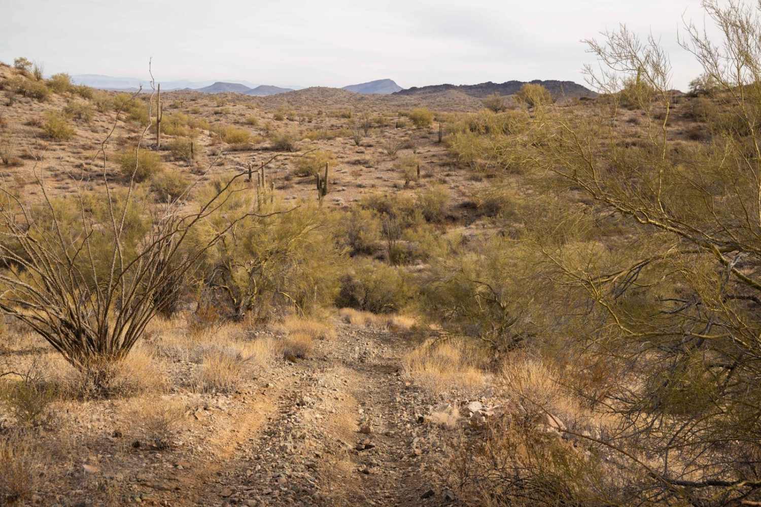 Hilltop to Blocked Canyon