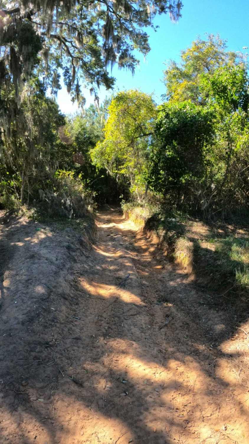 Tranquility Trail