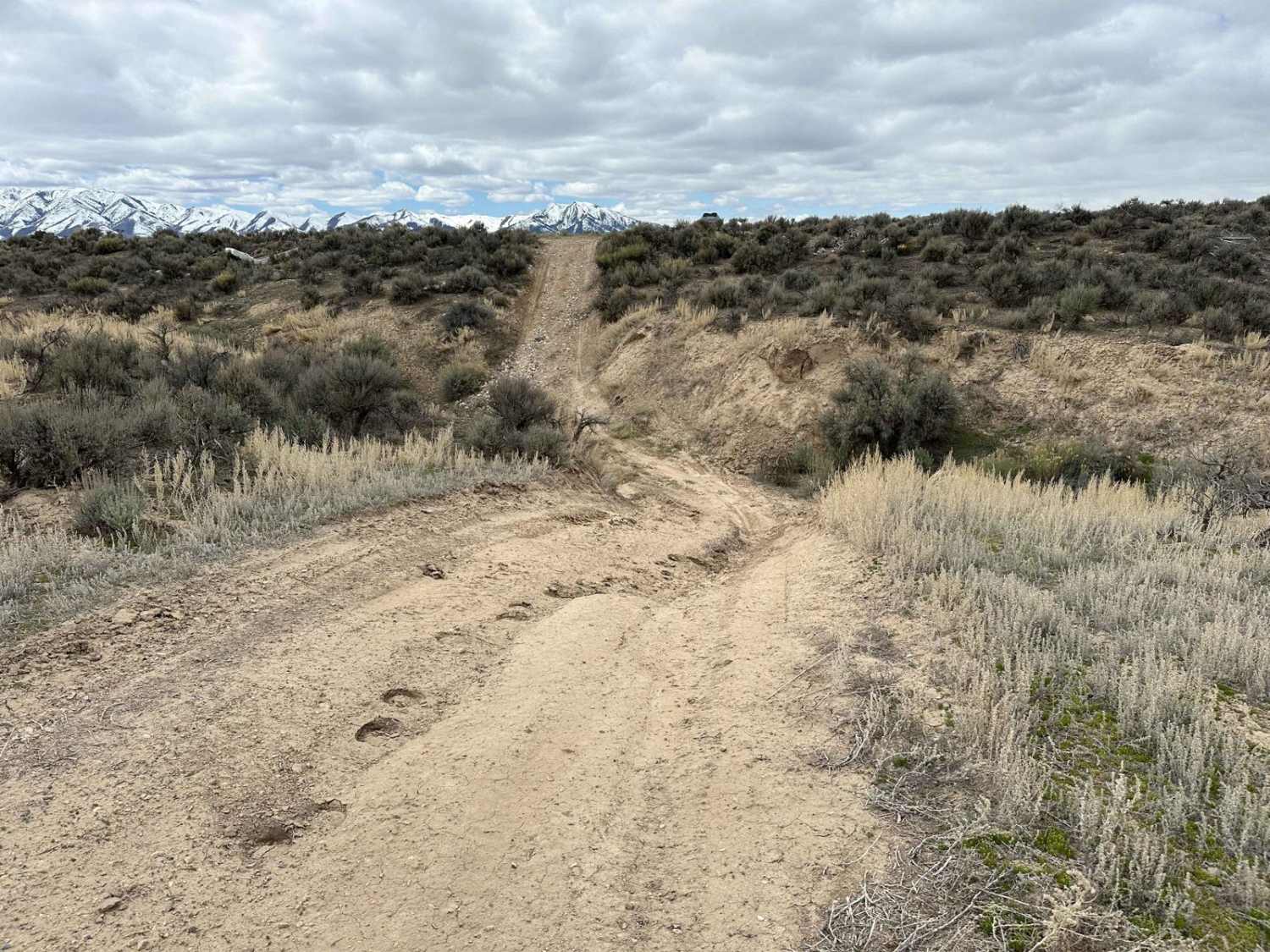 Rattlesnake Ravine