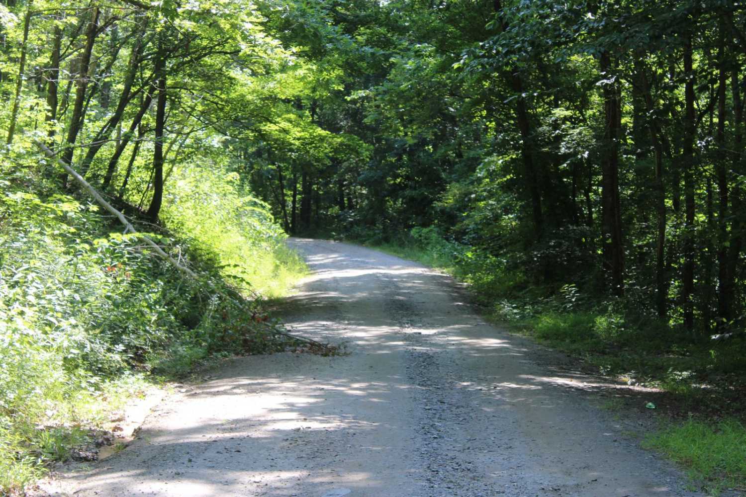 Red Root Road- FS 92
