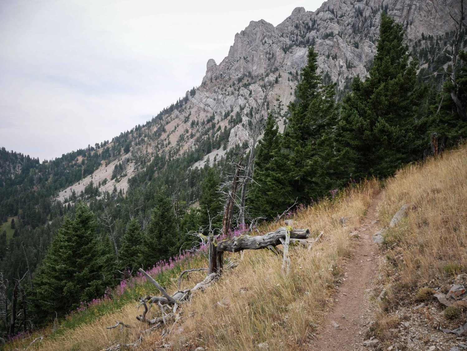 Bridger Ridge 