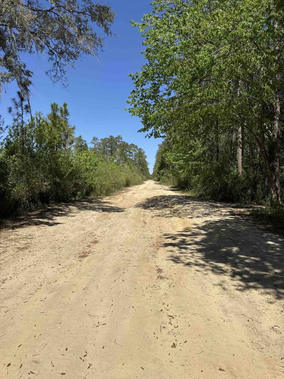 Black Water Creek - ONF 61