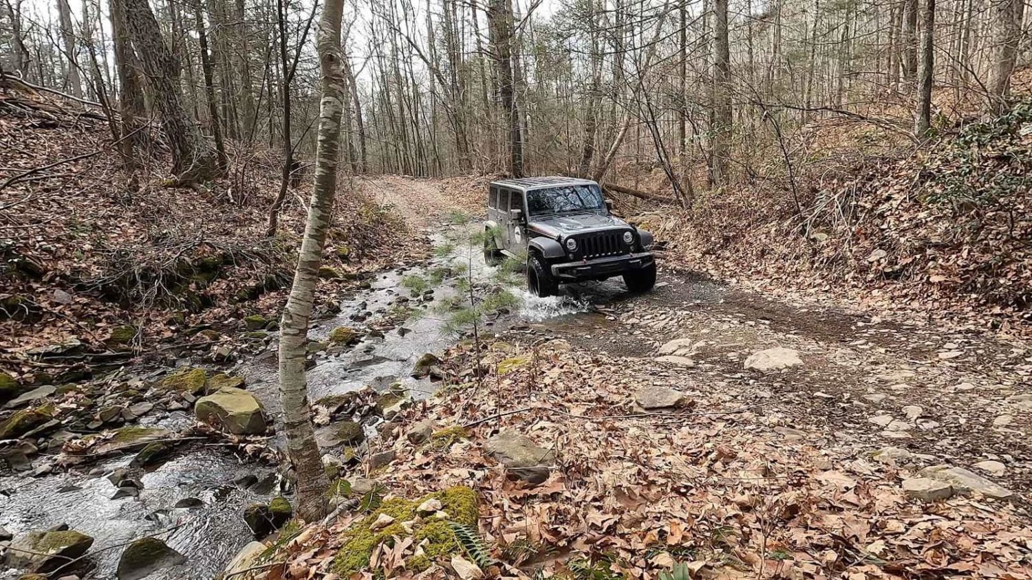 Stoney Run
