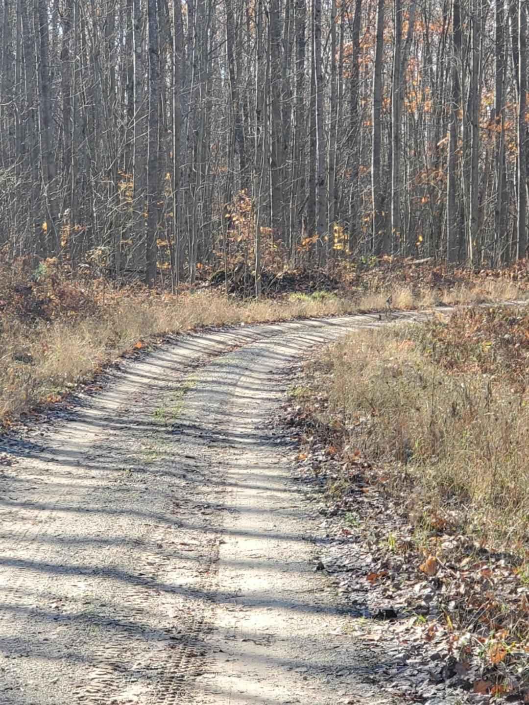 Trail 7322