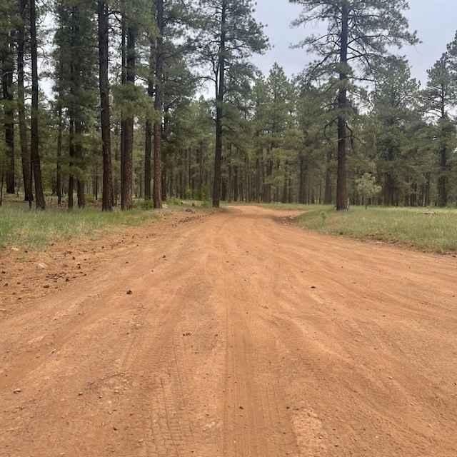 Blind Lake Tank Trail 213B 