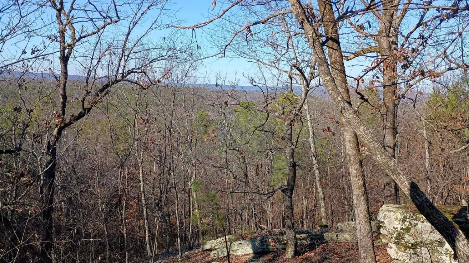 Lookout Access Trail