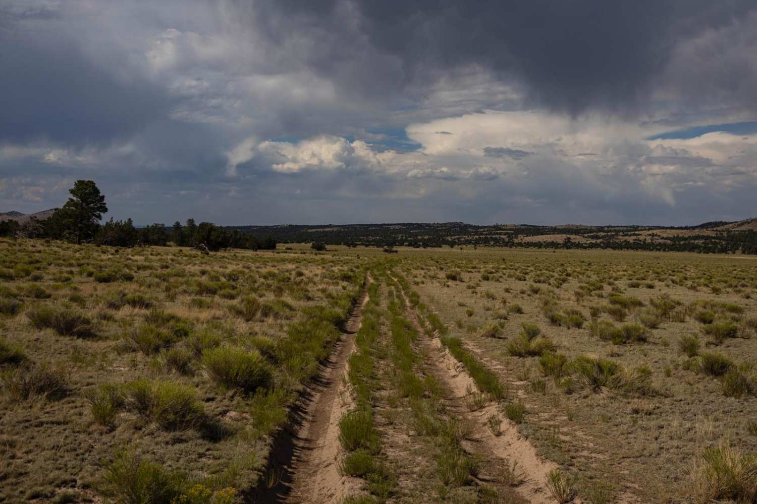 Pasture Waterline