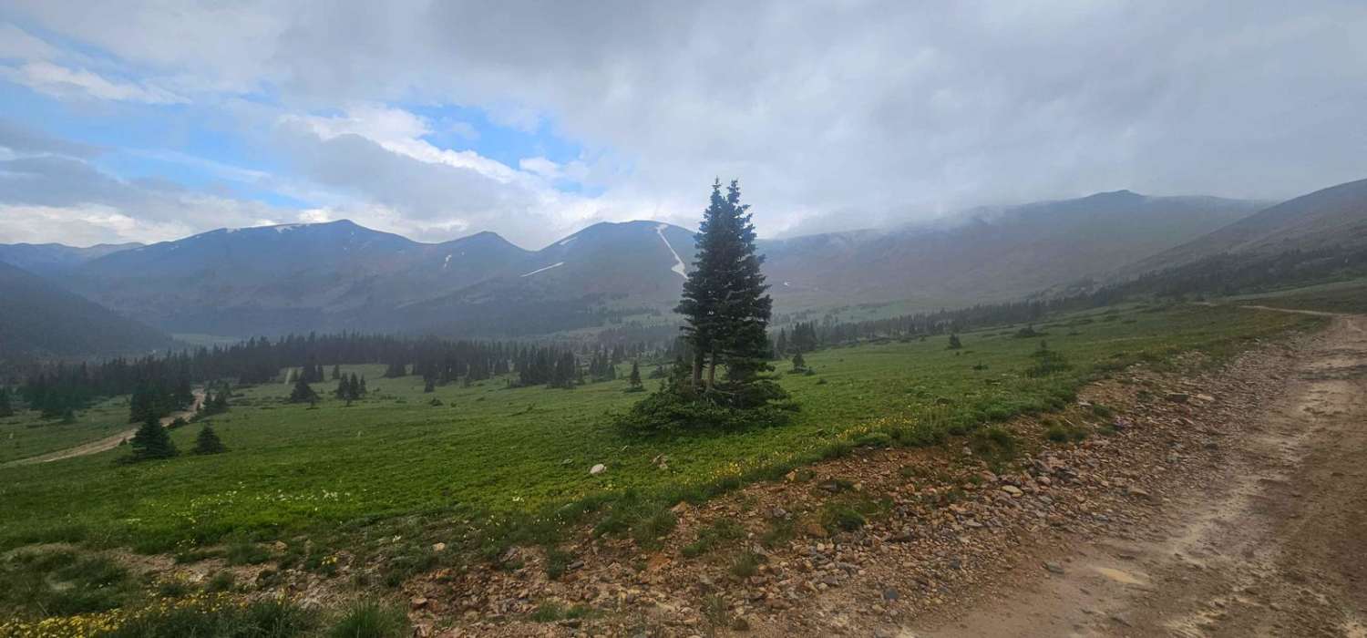 Webster Pass Road - FS 285