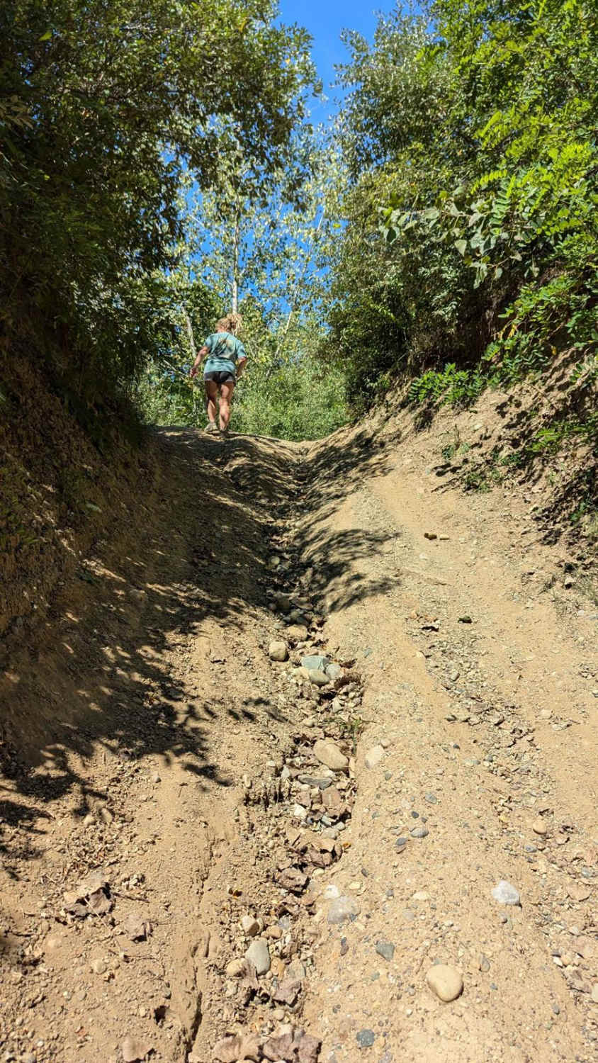 Chicken Hill
