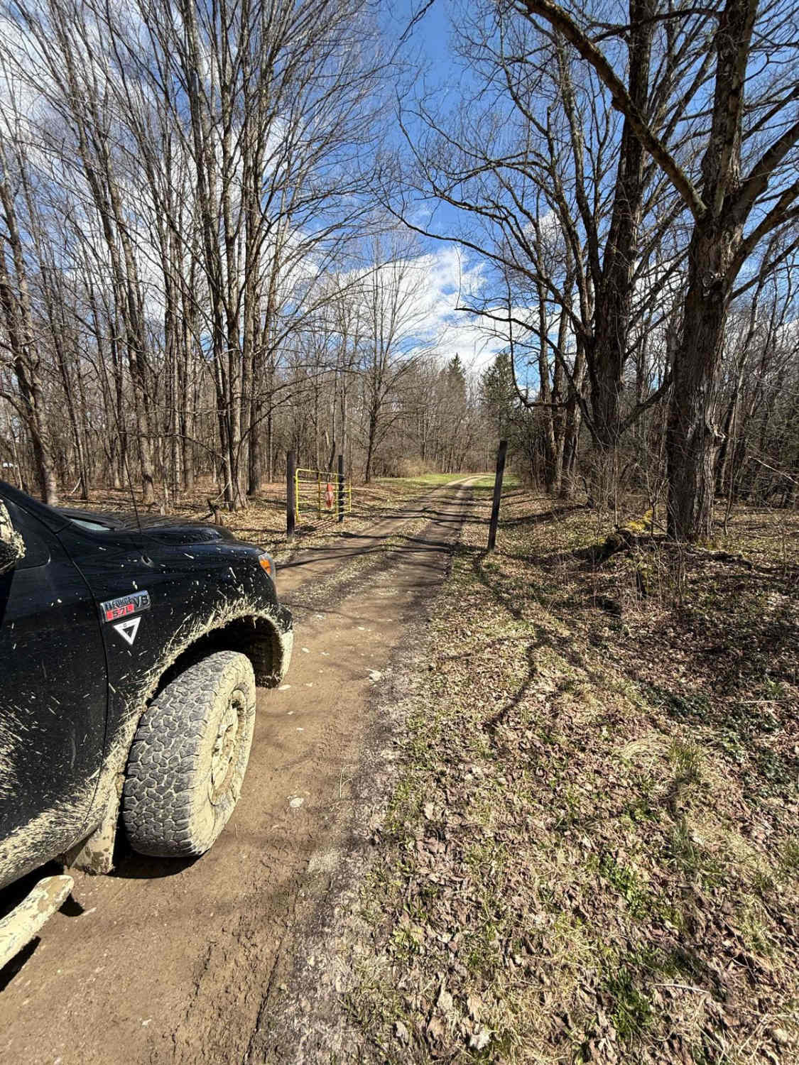 Vandermark Allen Forest Road