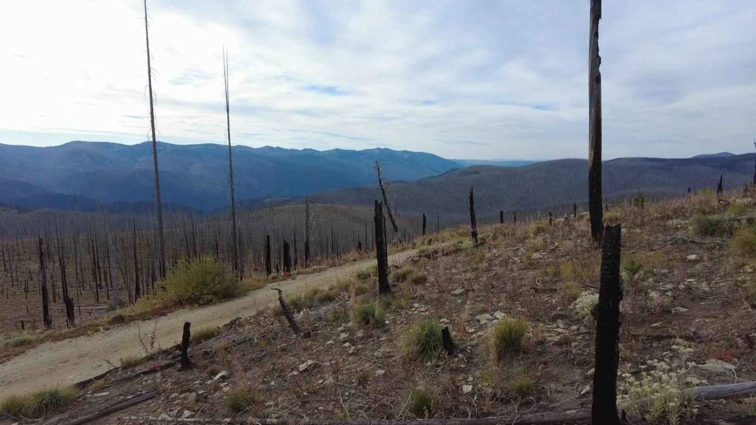 Green Mountain Lookout
