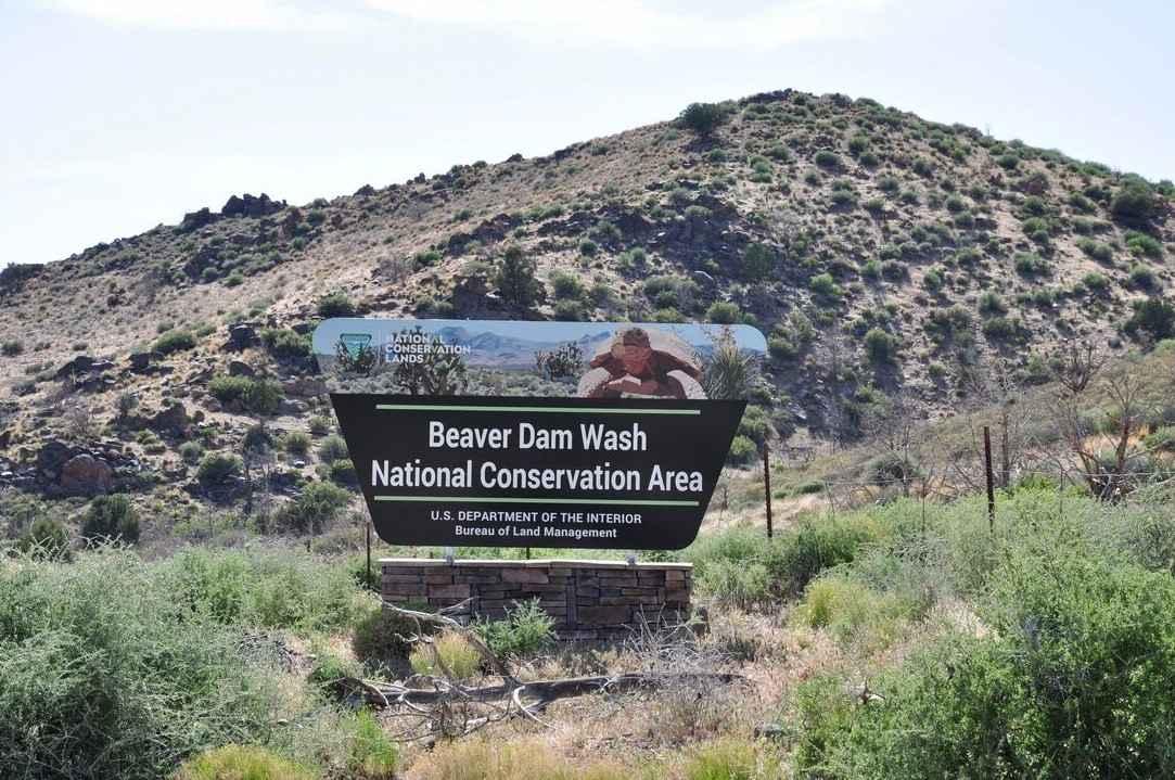 Lytle Ranch Road East