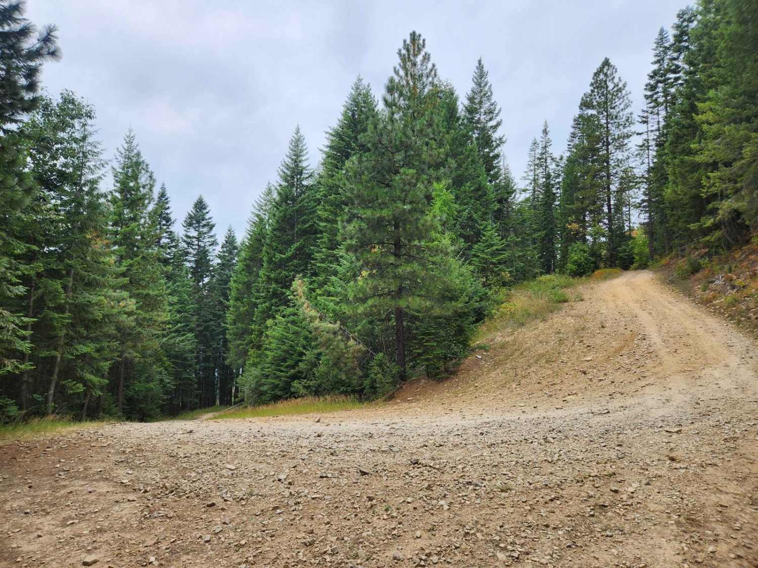 Twin Crags Road