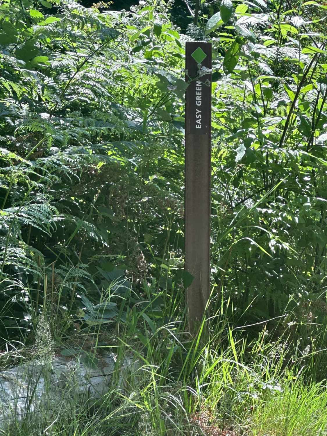 Easy Green