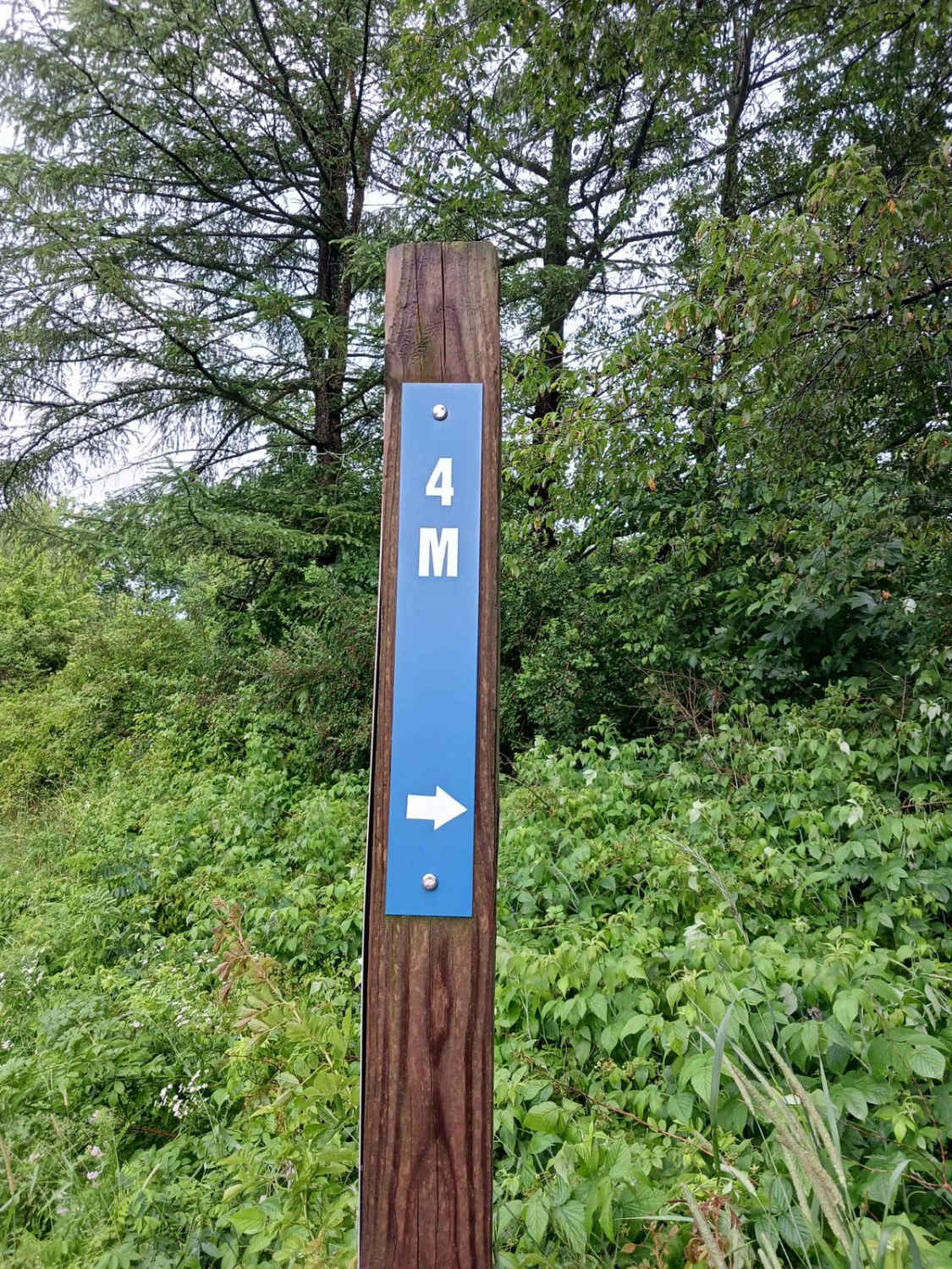 Trail 4M - Rock Run Recreation Area