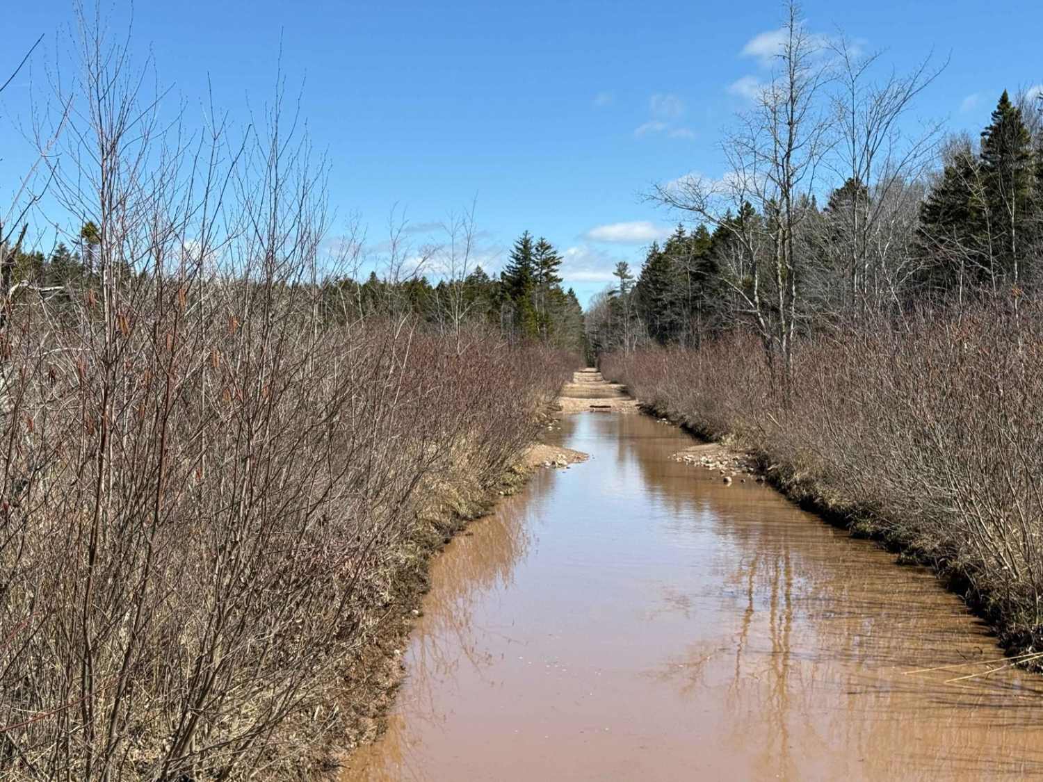South River Lake Trail