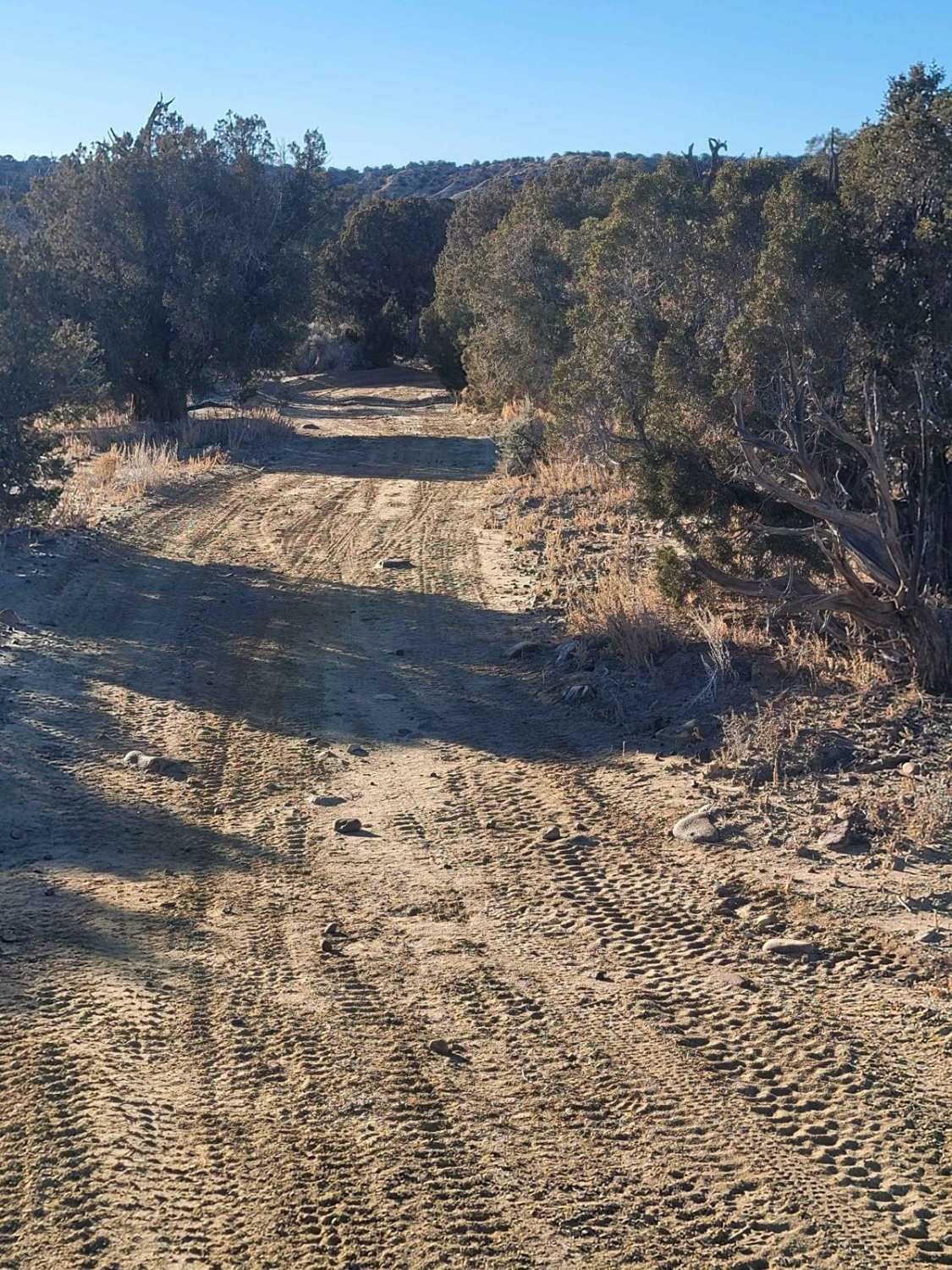 SXS/ATV Test Your Skills Trail