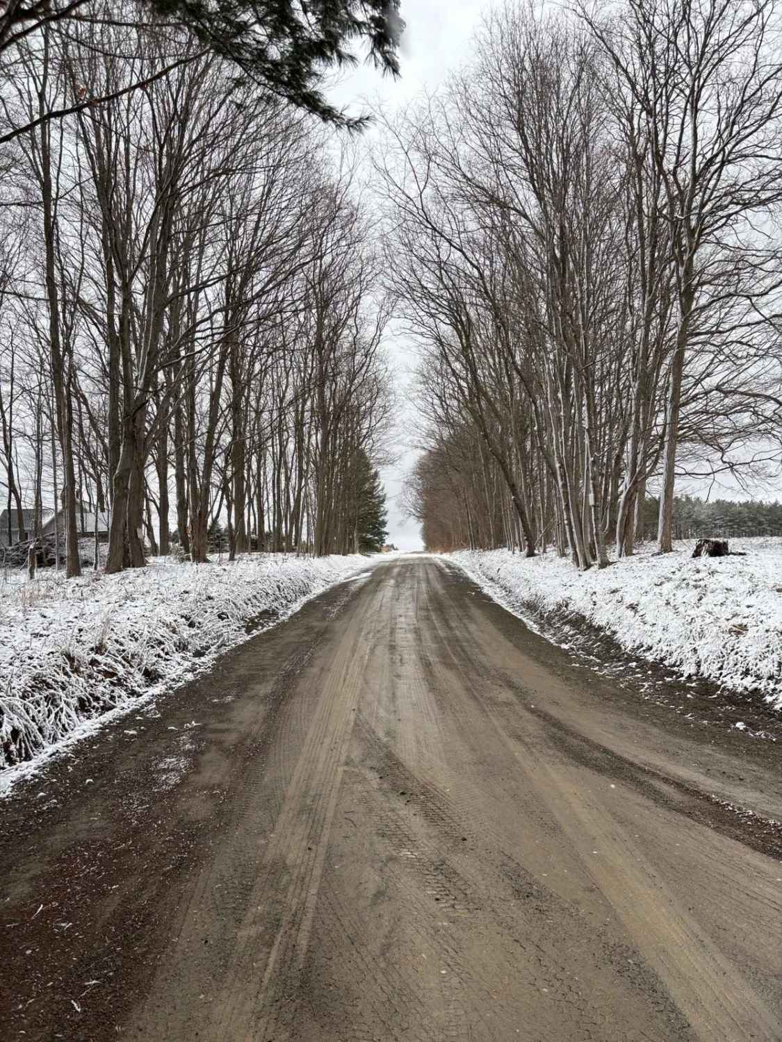Reeves Road