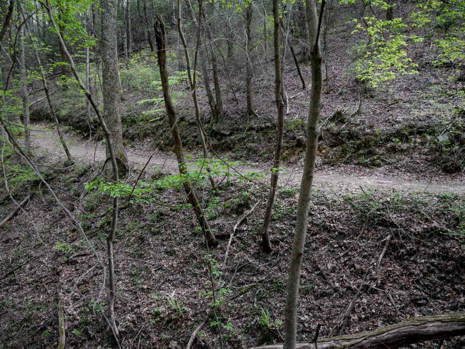 Milma Creek