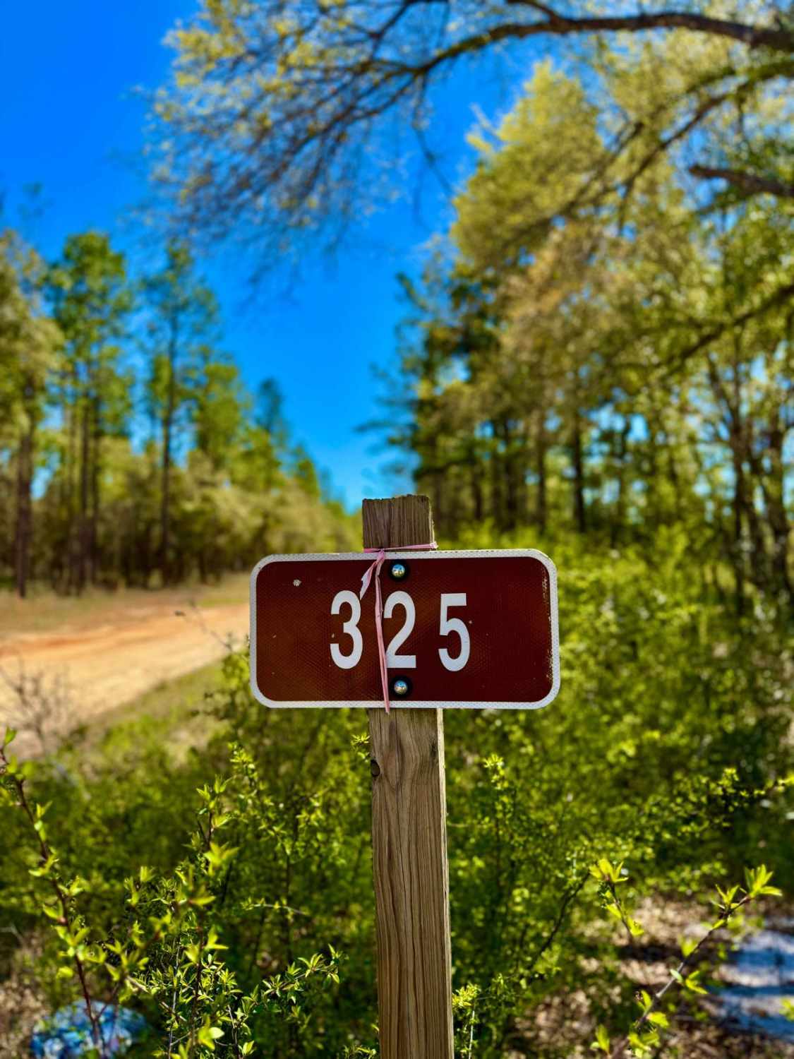 Baseline 325