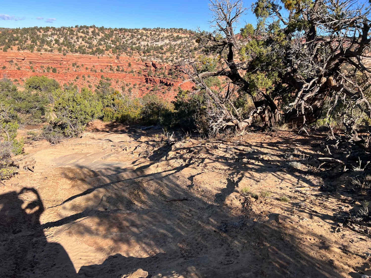 Hog Canyon 6 - Savage Point (BLM HC6/6A) 