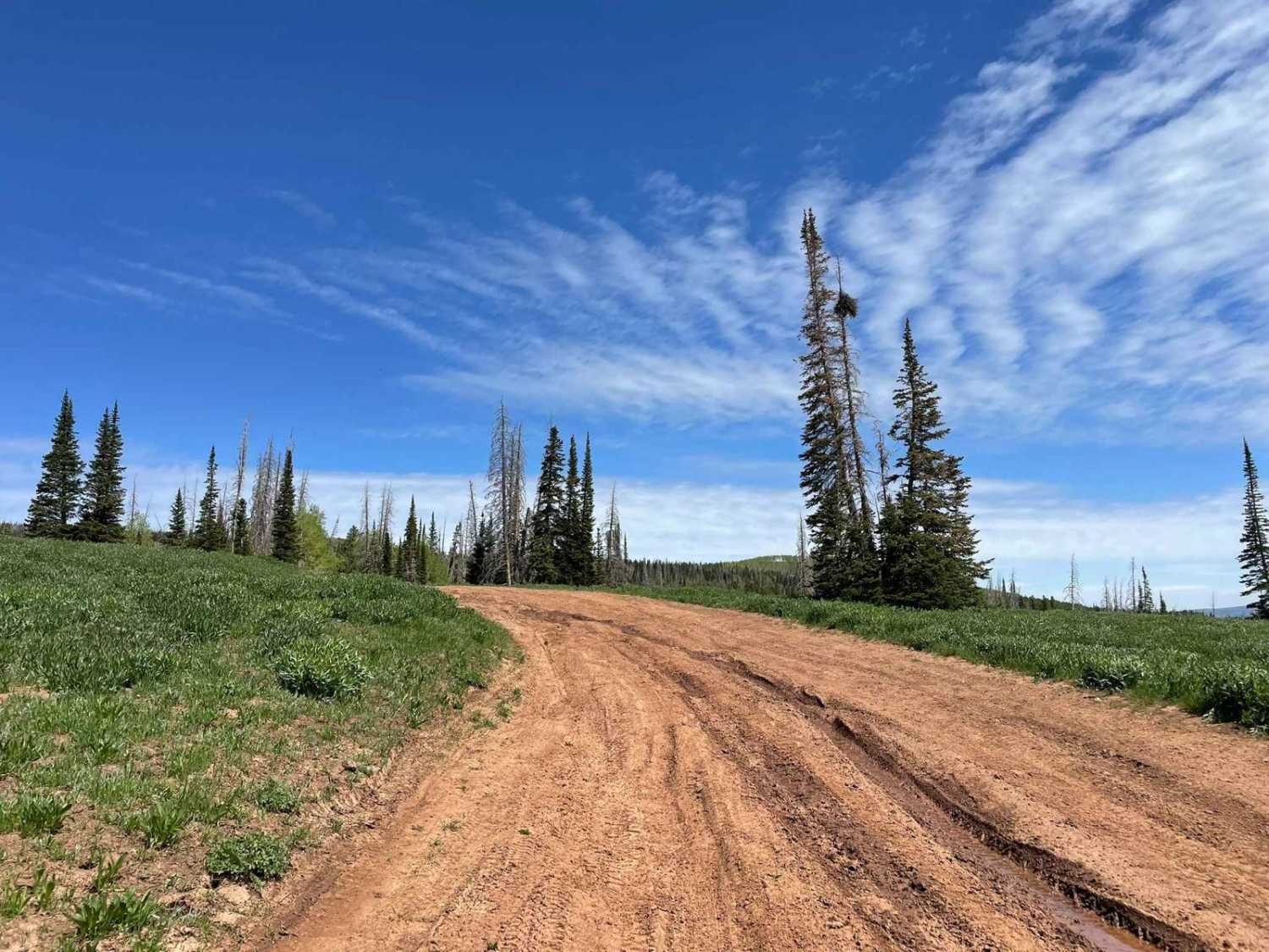 Road Hollow