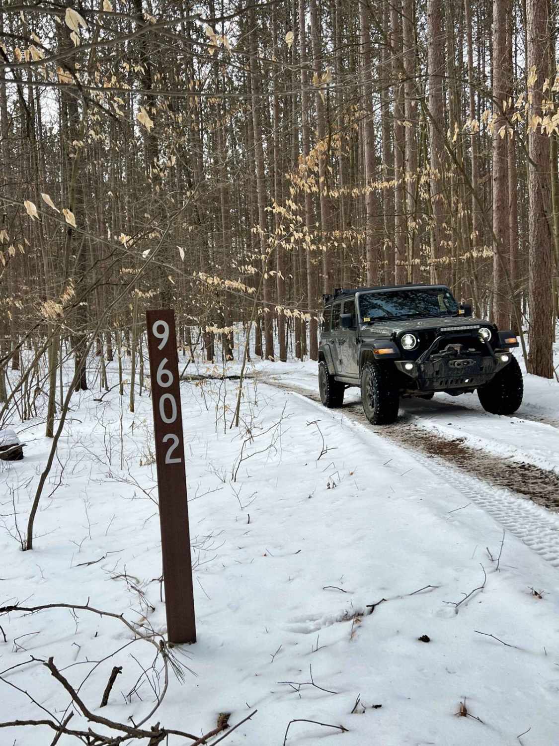 NFS 9602 (Brush Lake Trail)