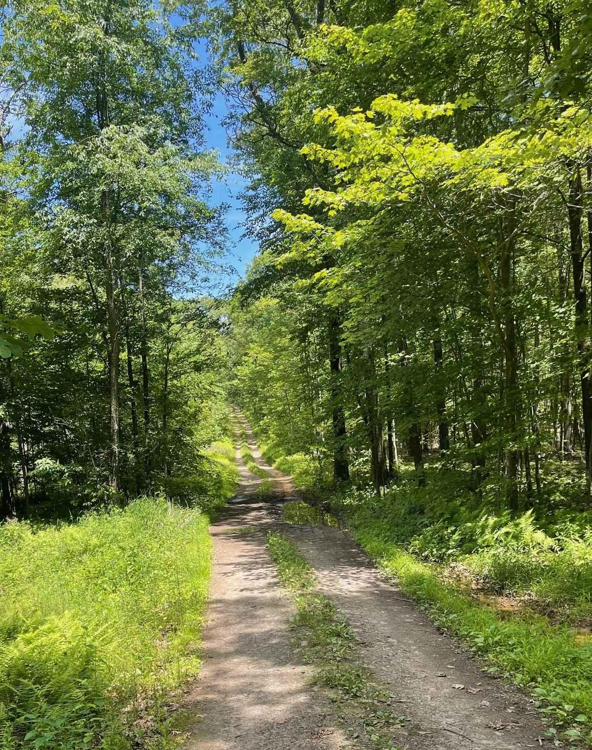 Cranberry Road