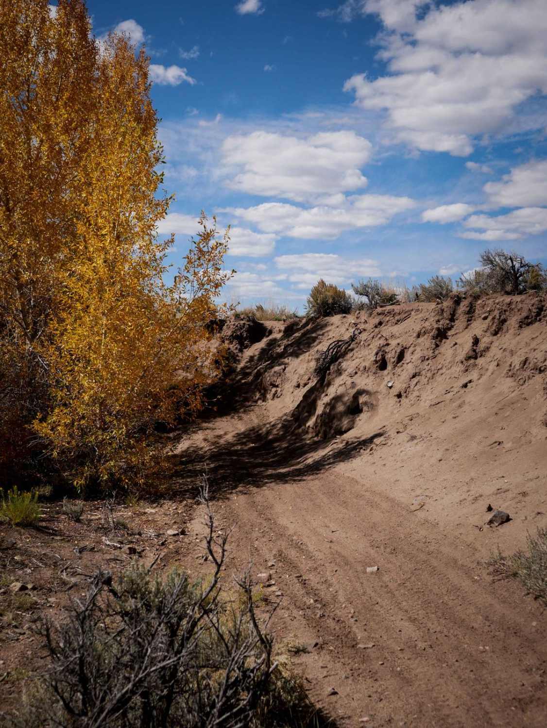 Sandy Wash 