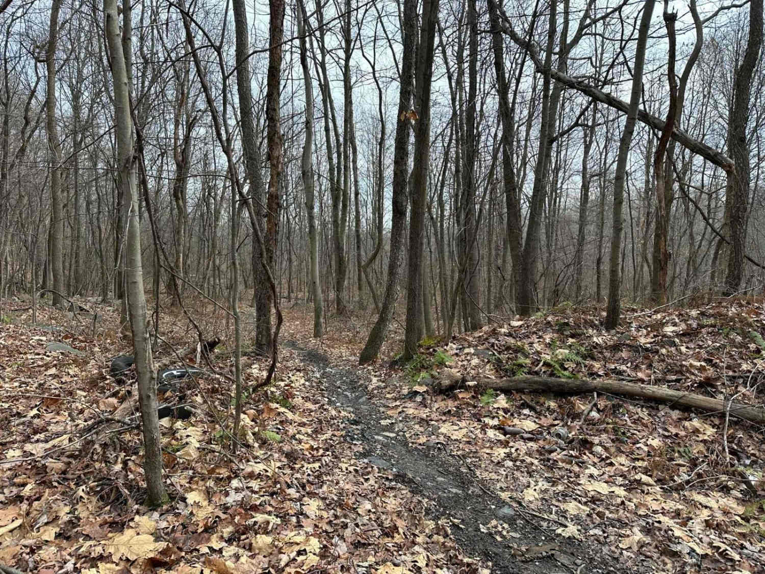 Darkwater Single Track 6